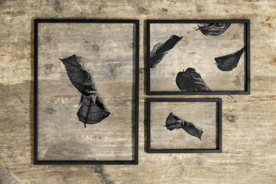 Moebe Frame A5 A4 A3 zwart met Floating leaves