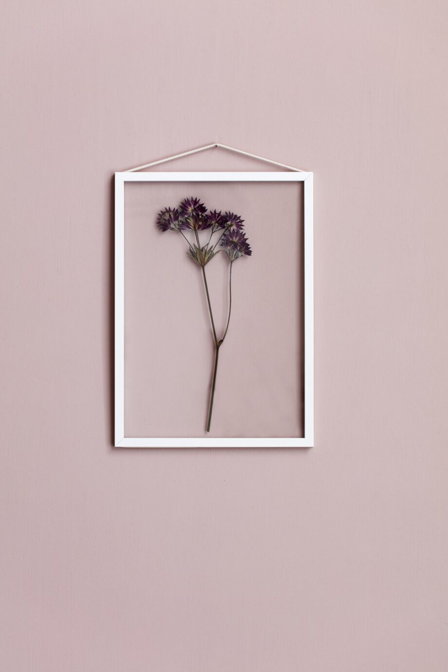 Moebe frame A3 wit met gedroogde bloem