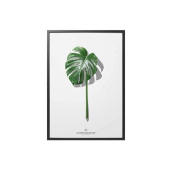 hagedornhagen-poster-folium-f5-30x40