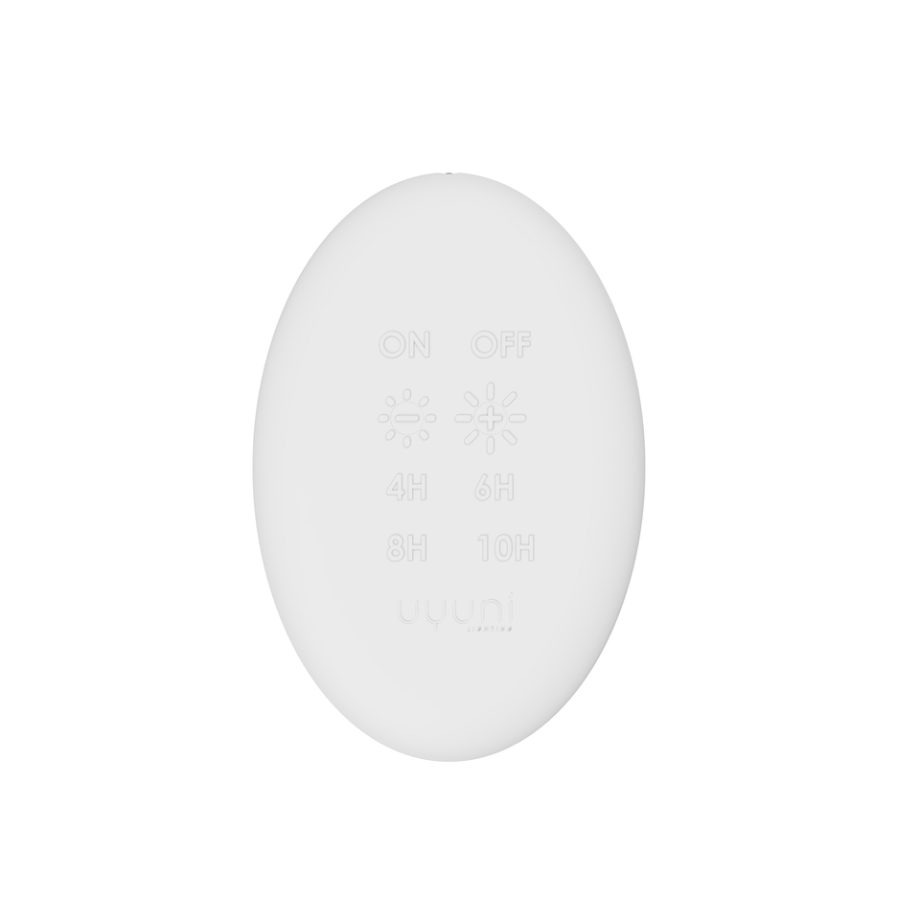 Uyuni Lighting witte afstandsbediening premium